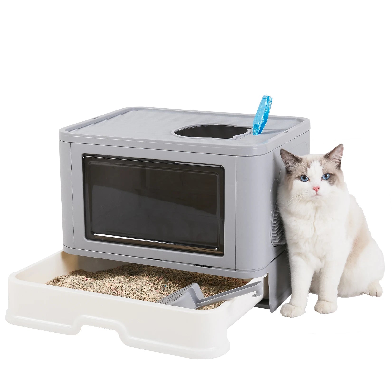 Toilette Pliable pour Chat