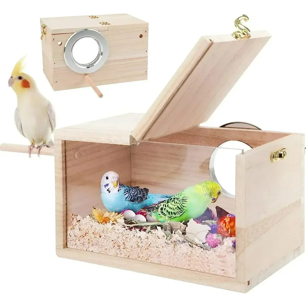 Nid Transparent pour Petits Oiseaux