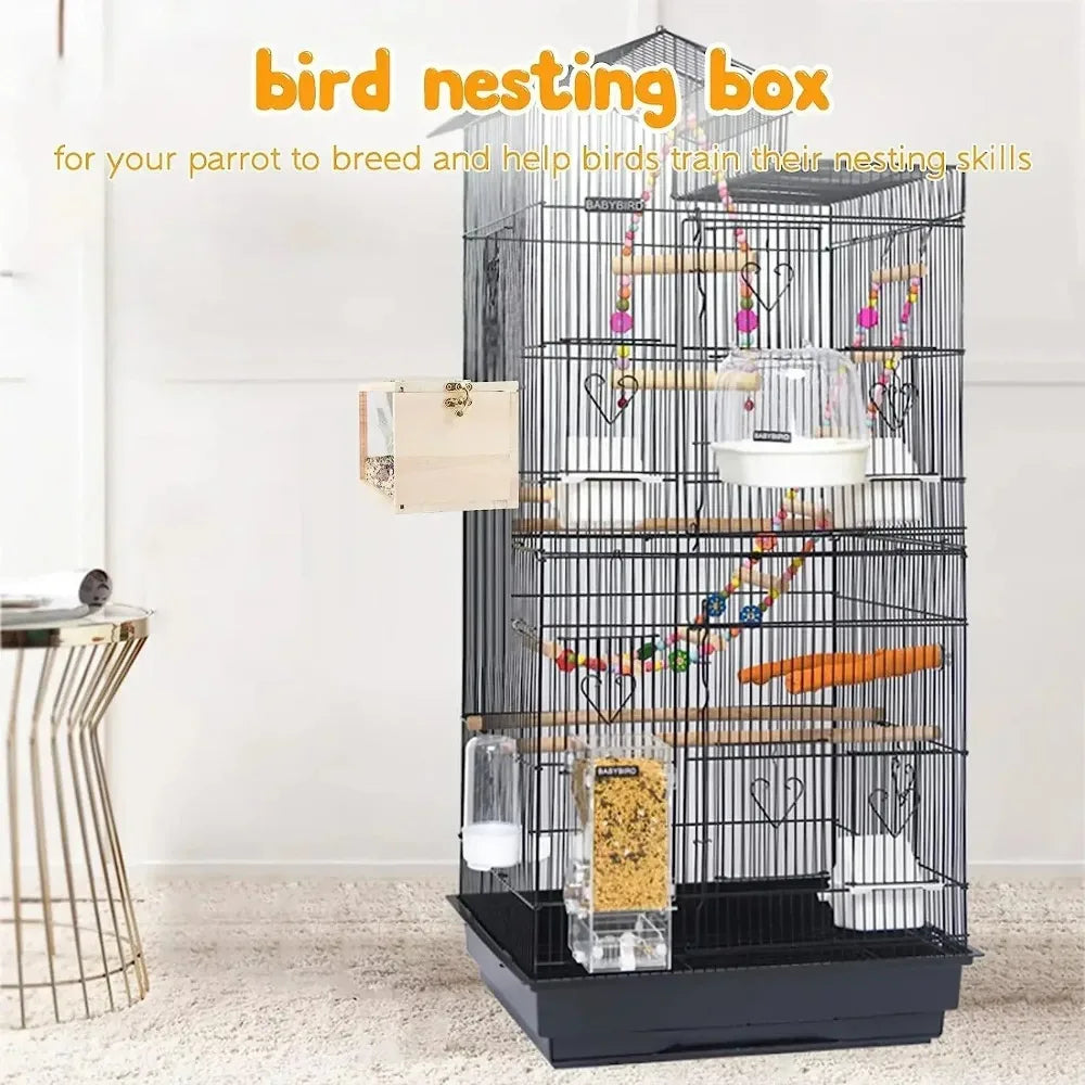 Nid Transparent pour Petits Oiseaux