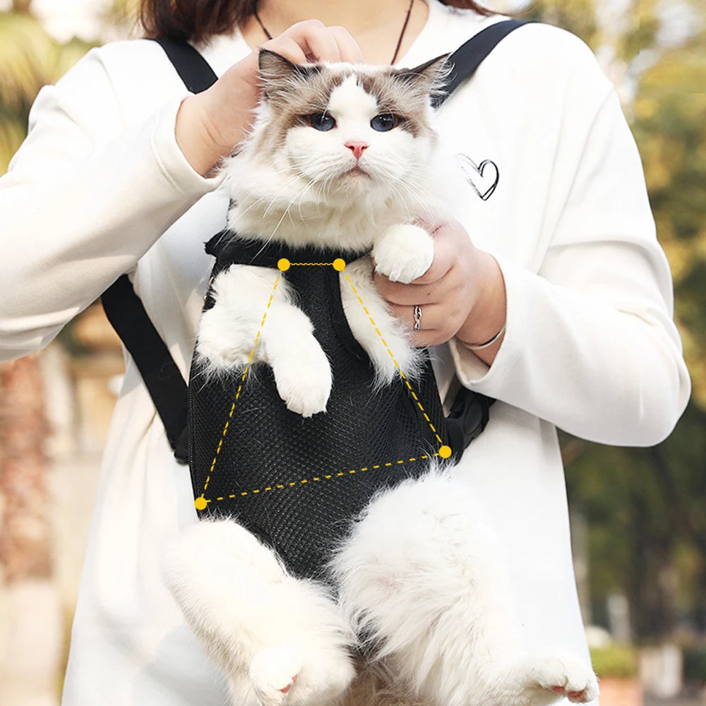 Harnais de transport pour chats et chiens