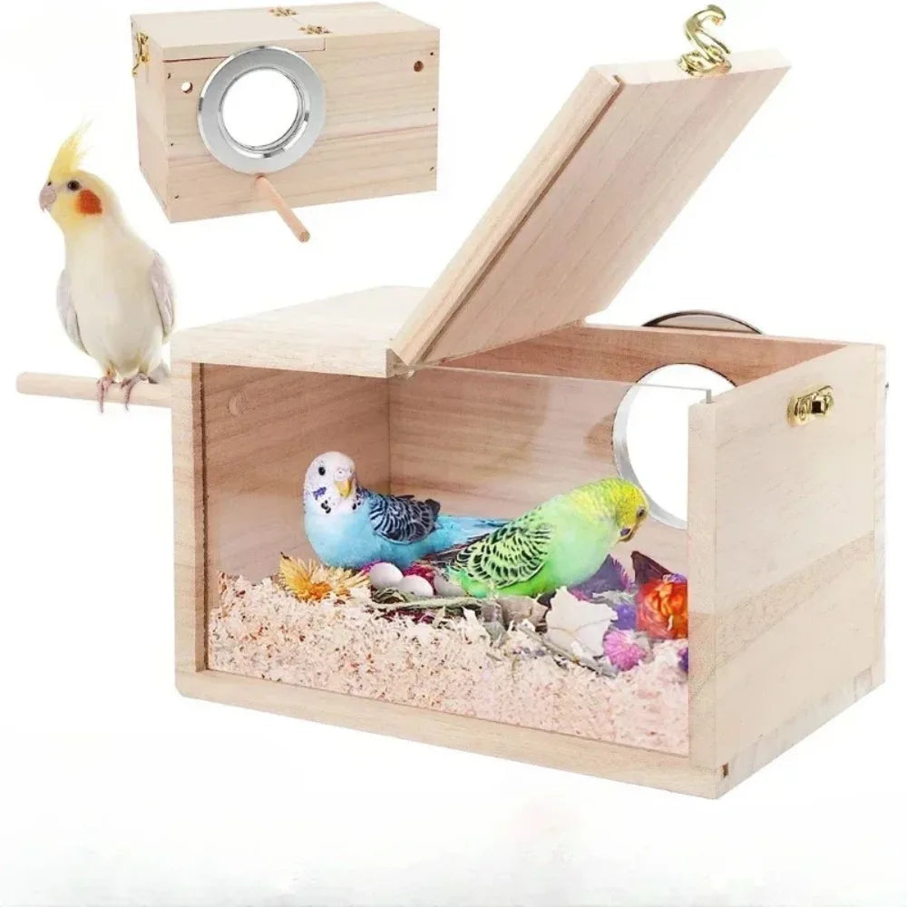 Nid Transparent pour Petits Oiseaux
