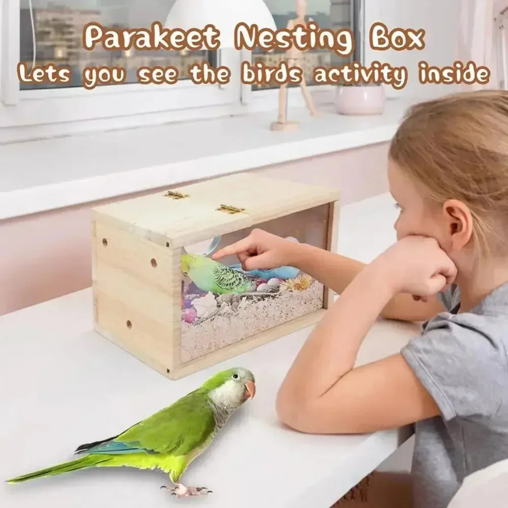 Nid Transparent pour Petits Oiseaux