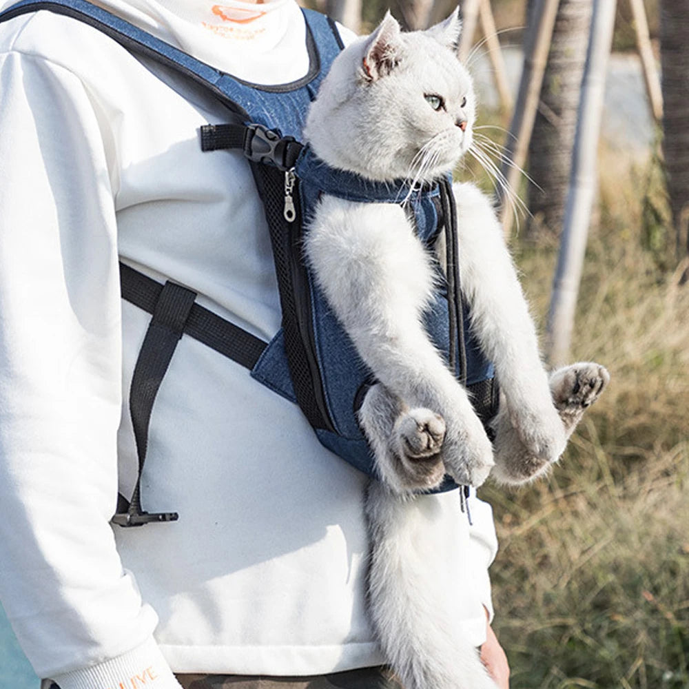 Harnais de transport pour chats et chiens