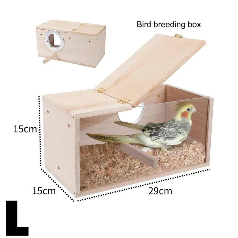 Nid Transparent pour Petits Oiseaux