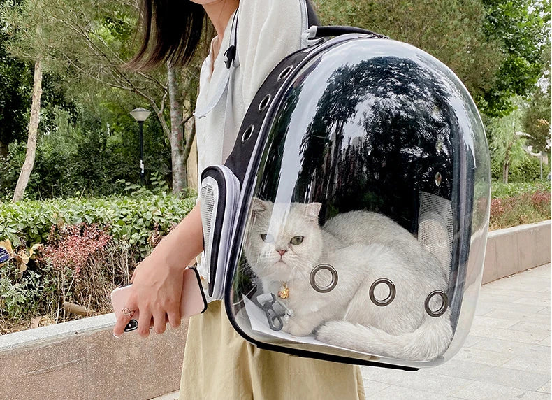 Sac à dos de transport pour chats et chiens