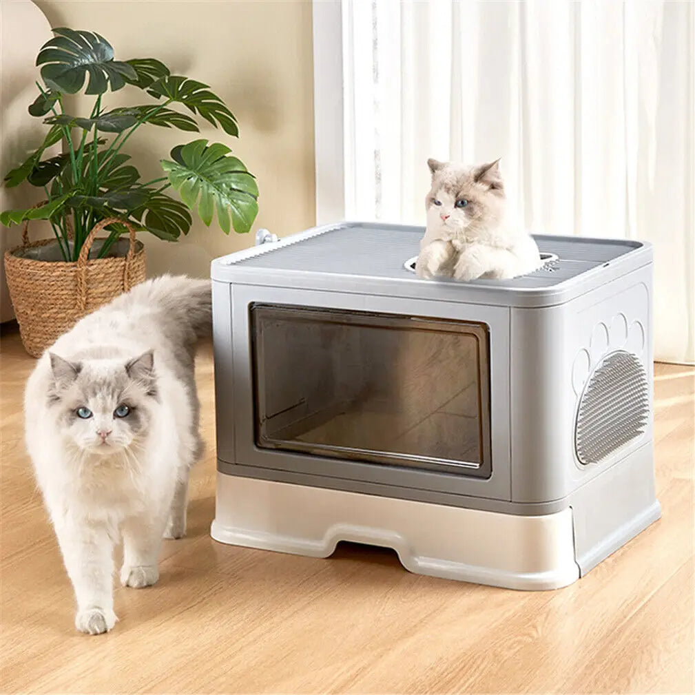 Toilette Pliable pour Chat