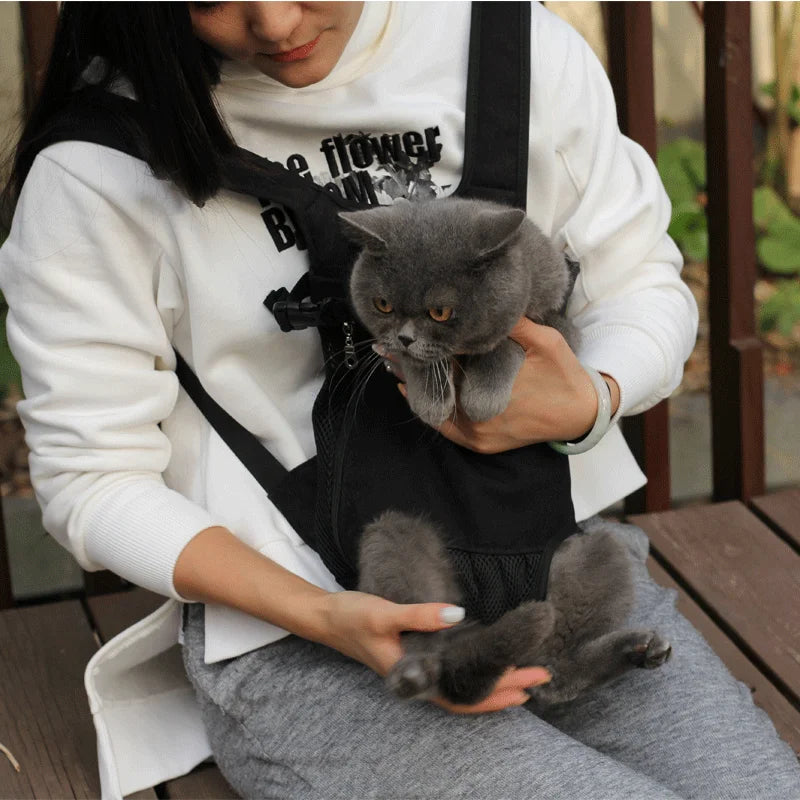 Harnais de transport pour chats et chiens